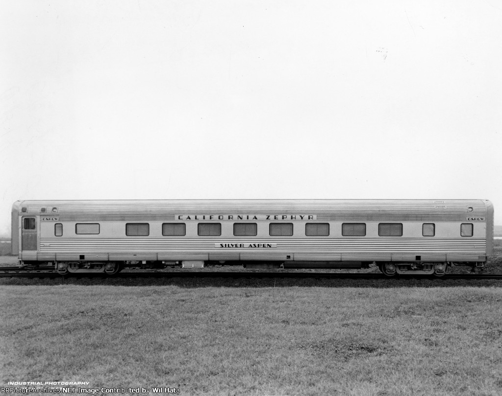 Rio Grande 16 Section Sleeper 1120 "Silver Aspen"